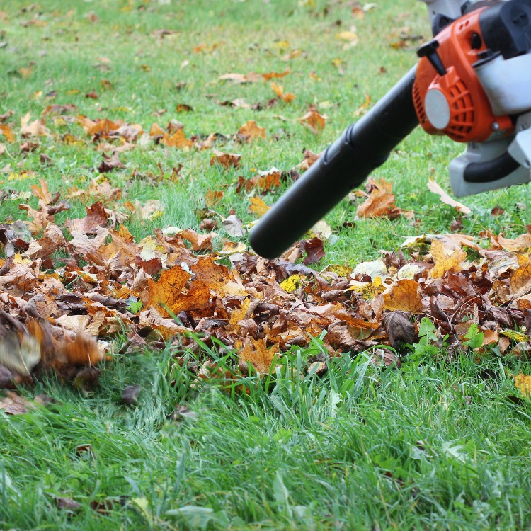 Lawn and Landscape Services in Knoxville, TN